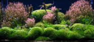  - aquascape-97-front-minigal-2